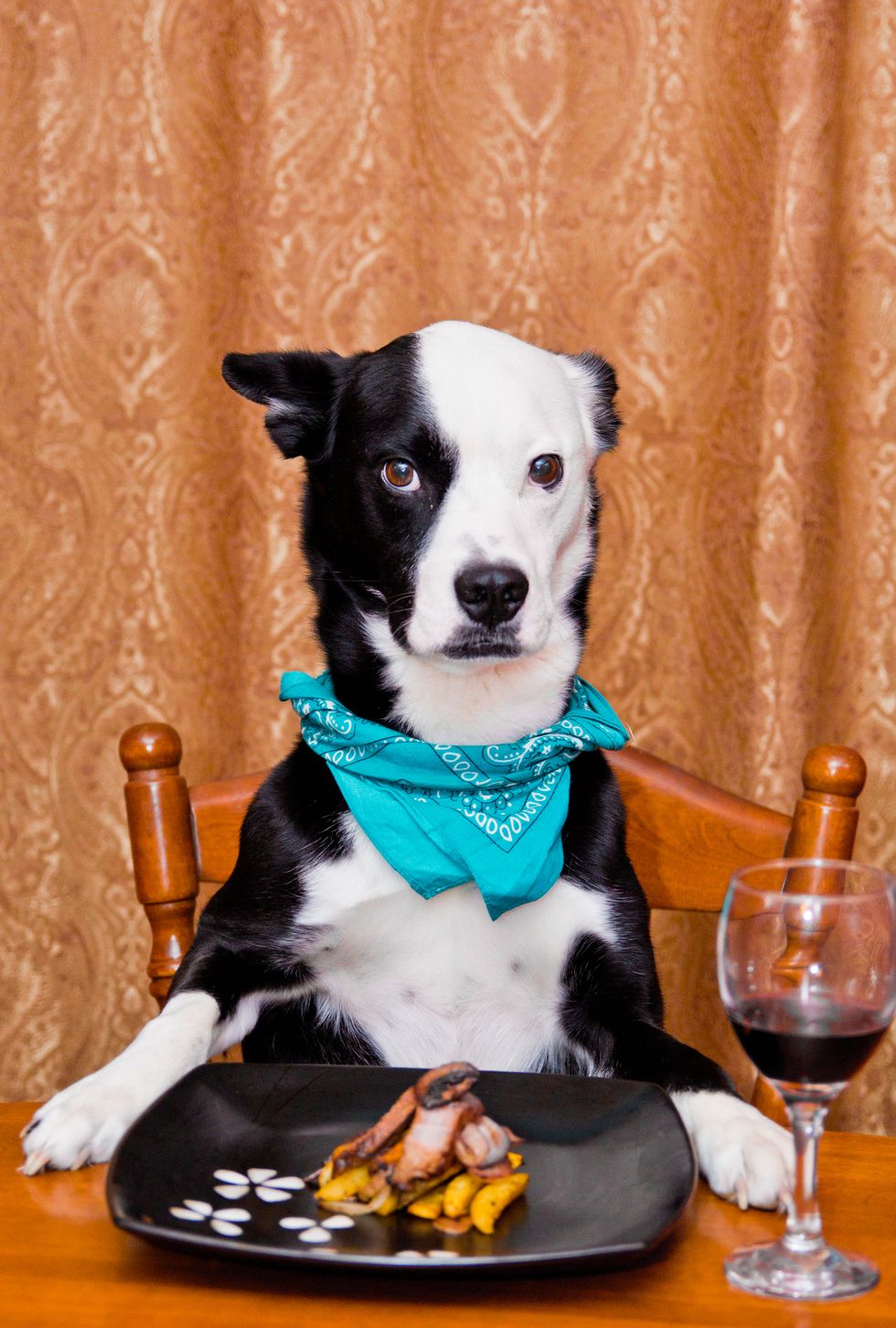 woof, bark, woof, woof, howwwl..!!. (google translate: Thanks for checking out my owners guide. Make sure to "Like" it and to "Follow" him for all kinds of other treats.. treats? what Treeeeaats..!"