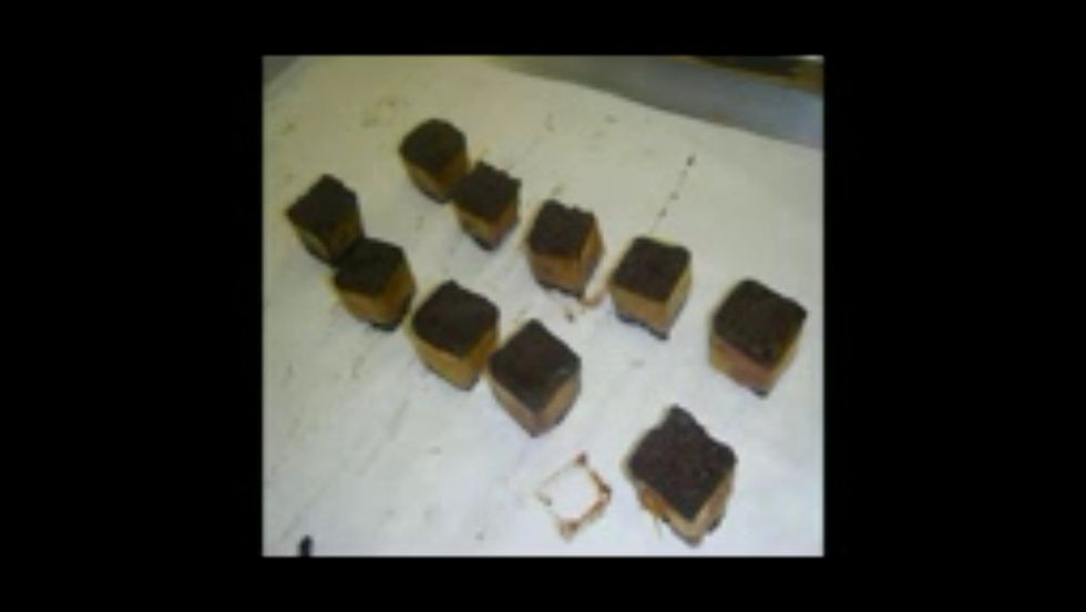 Wrap around some flour less chocolate cakes.