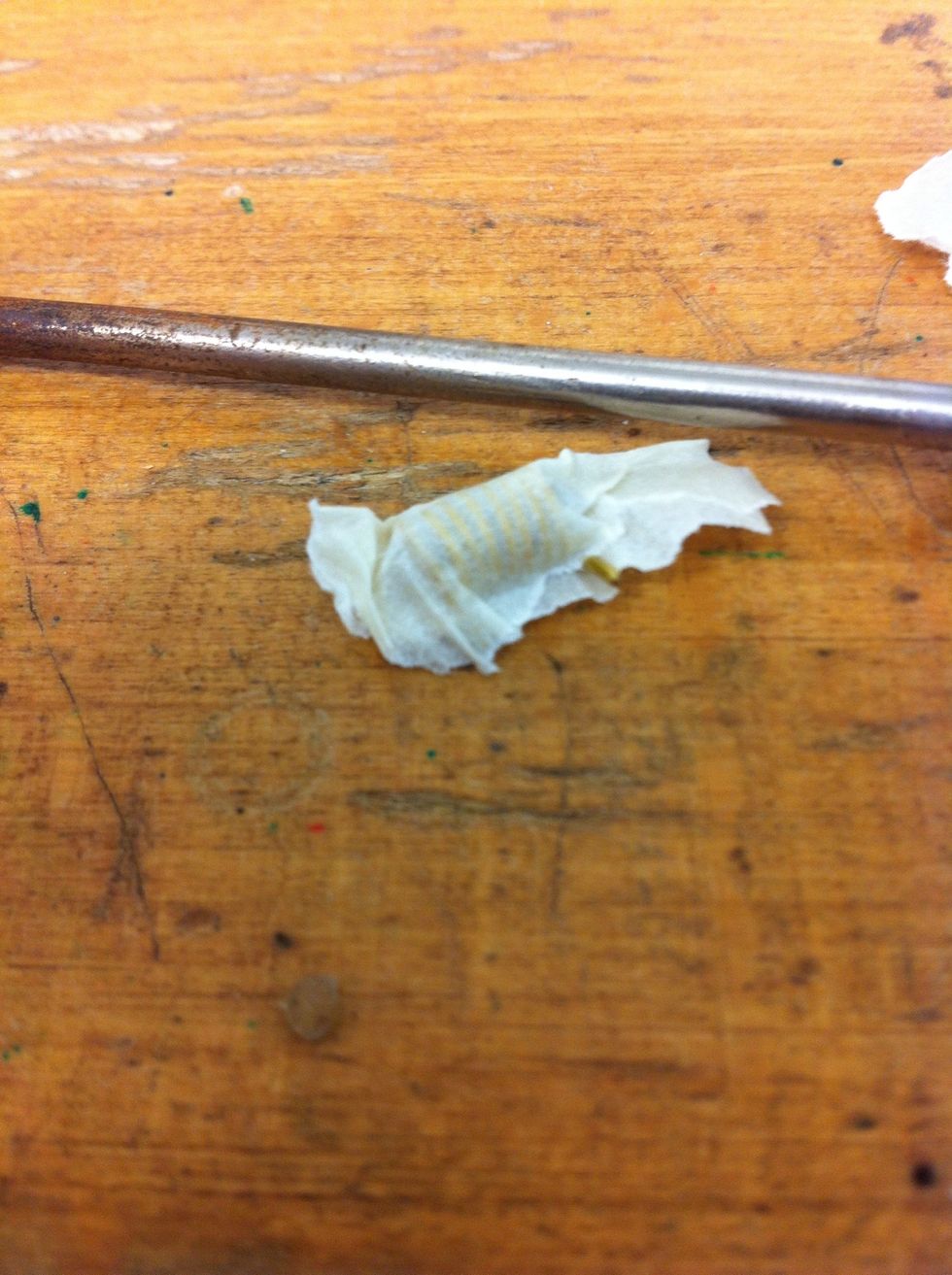 Wrap it with scotch tape