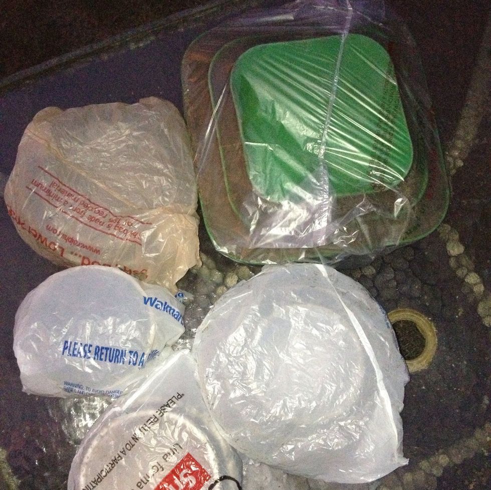 How to make a hypertufa pot for plants B+C Guides