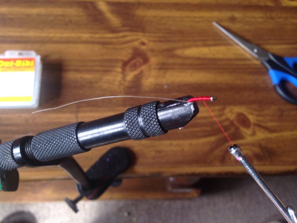 Wrap up and down the body of the fly until the fly is nice and full looking. Usually you do a full wrap 4 times for a completed fly.