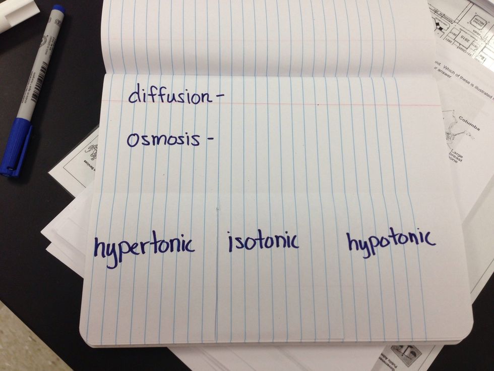 Write the definition for diffusion and osmosis on the top and label the flaps: hypertonic, isotonic, and hypotonic