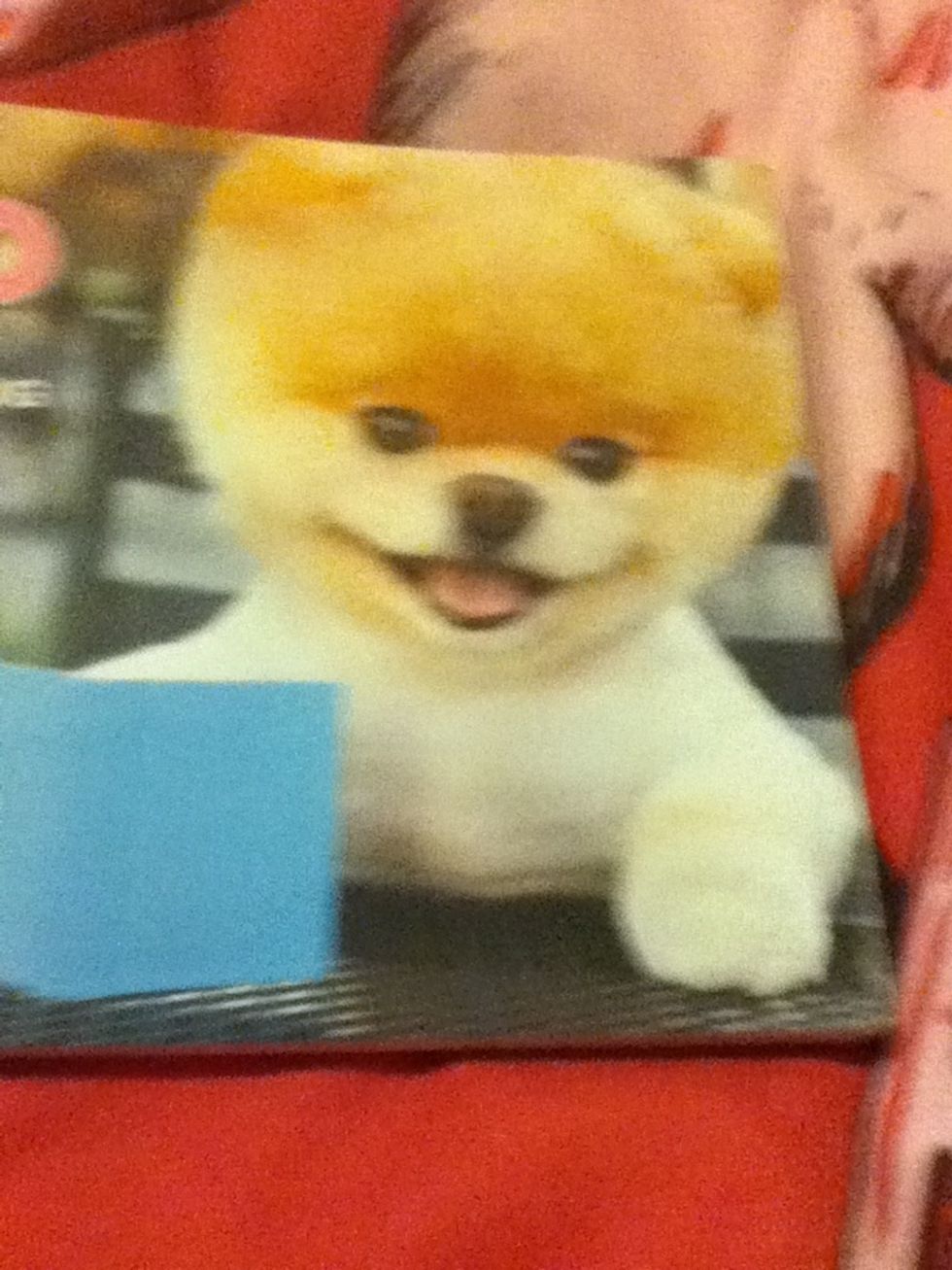 Yah have to love cute things \ud83d\udc36\ud83d\udc31\ud83d\udc2d\ud83d\udc39\ud83d\udc30\ud83d\udc2f\ud83d\udc28\ud83d\udc3b\ud83d\udc37\ud83d\udc2e\ud83d\udc35\ud83d\udc3c\ud83d\udc25\ud83d\udc19