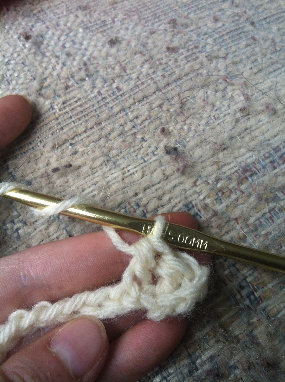yarn around and pull through the 3 remaining loops at once. tadaaa... your second half double crochet!!! now finish your row :)