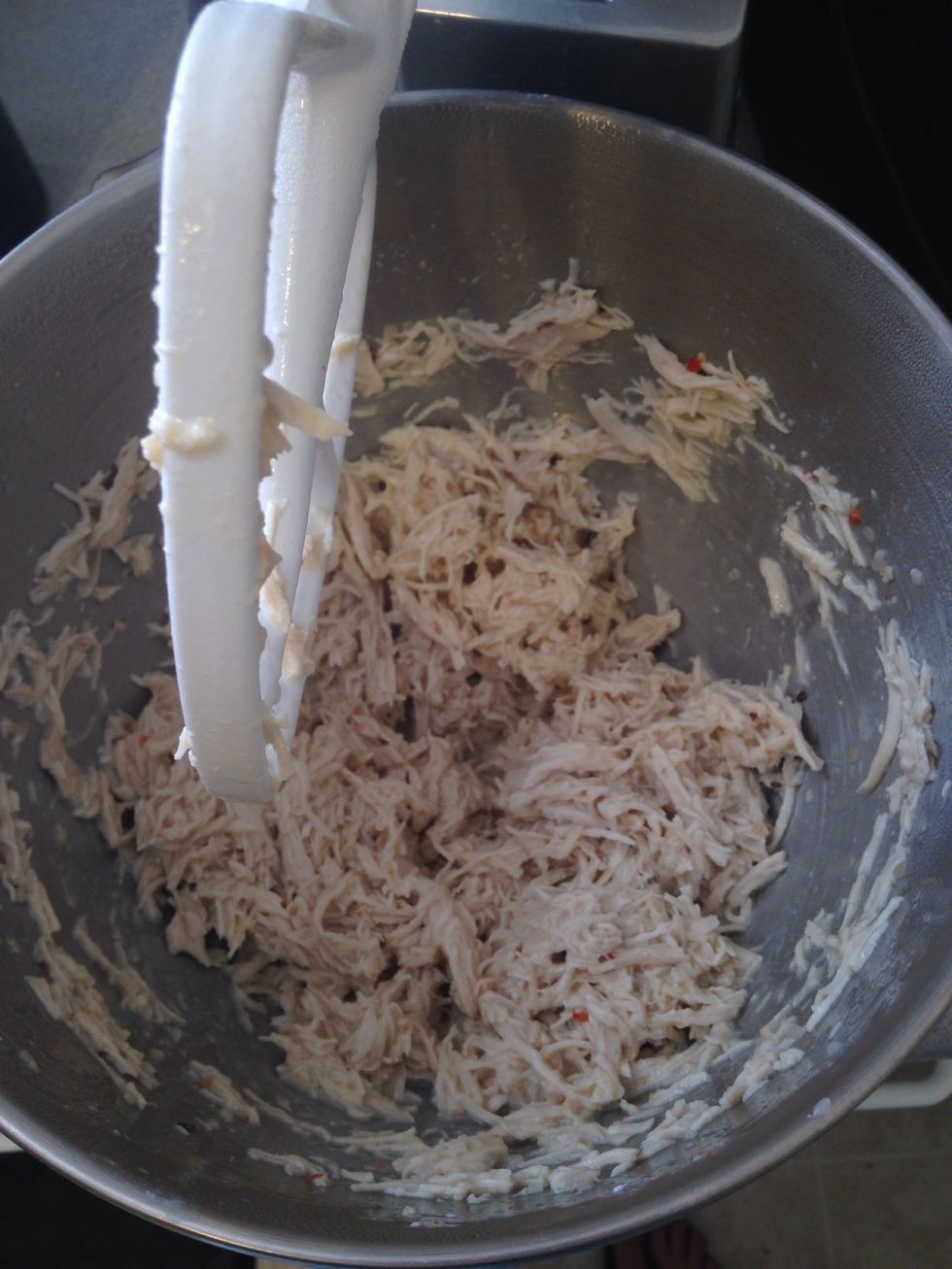 Yay! Beautiful shredded chicken