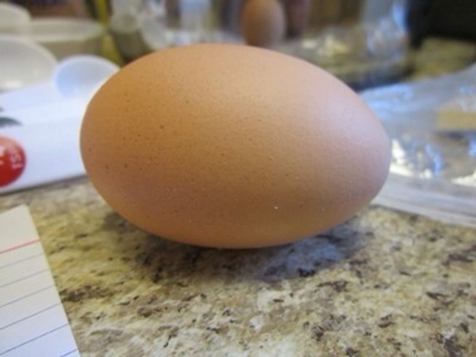 Yes, this is an egg, and yes it is brown.  You can use white eggs, but I happened to have fresh eggs on hand and they were brown.  And since fresh is better for you, I would recommend you do the same.