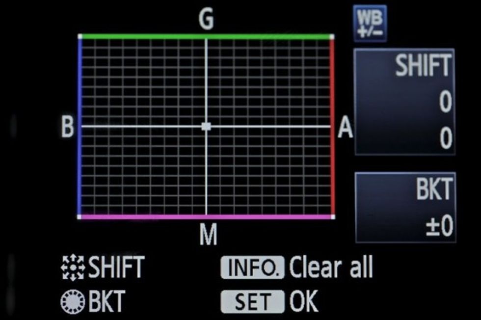 You also can set your own white balance. This is tricky and requires a lot of practice as you must learn to READ the colour cast with your eye. You do this by checking a white area in the image.