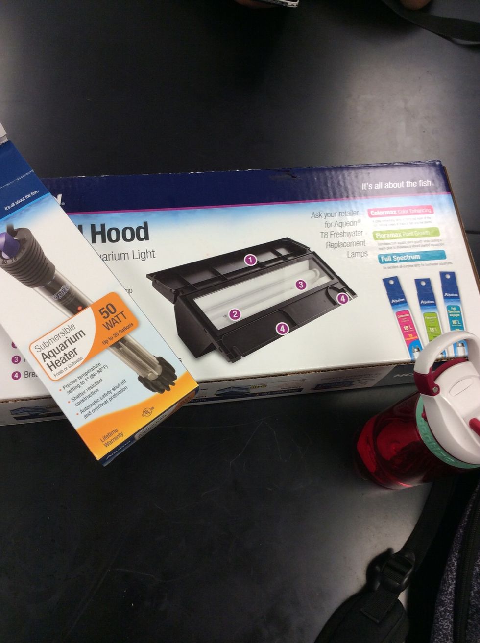 You also have to put the heater inside of the tank to keep the temperature according to the fish and also the light because it also keep the temperature up