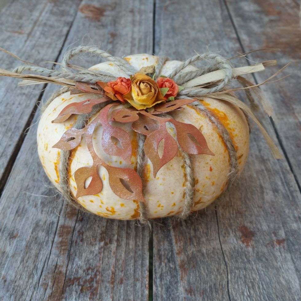 You are done! A cute little decorated pumpkin for the fall season!!