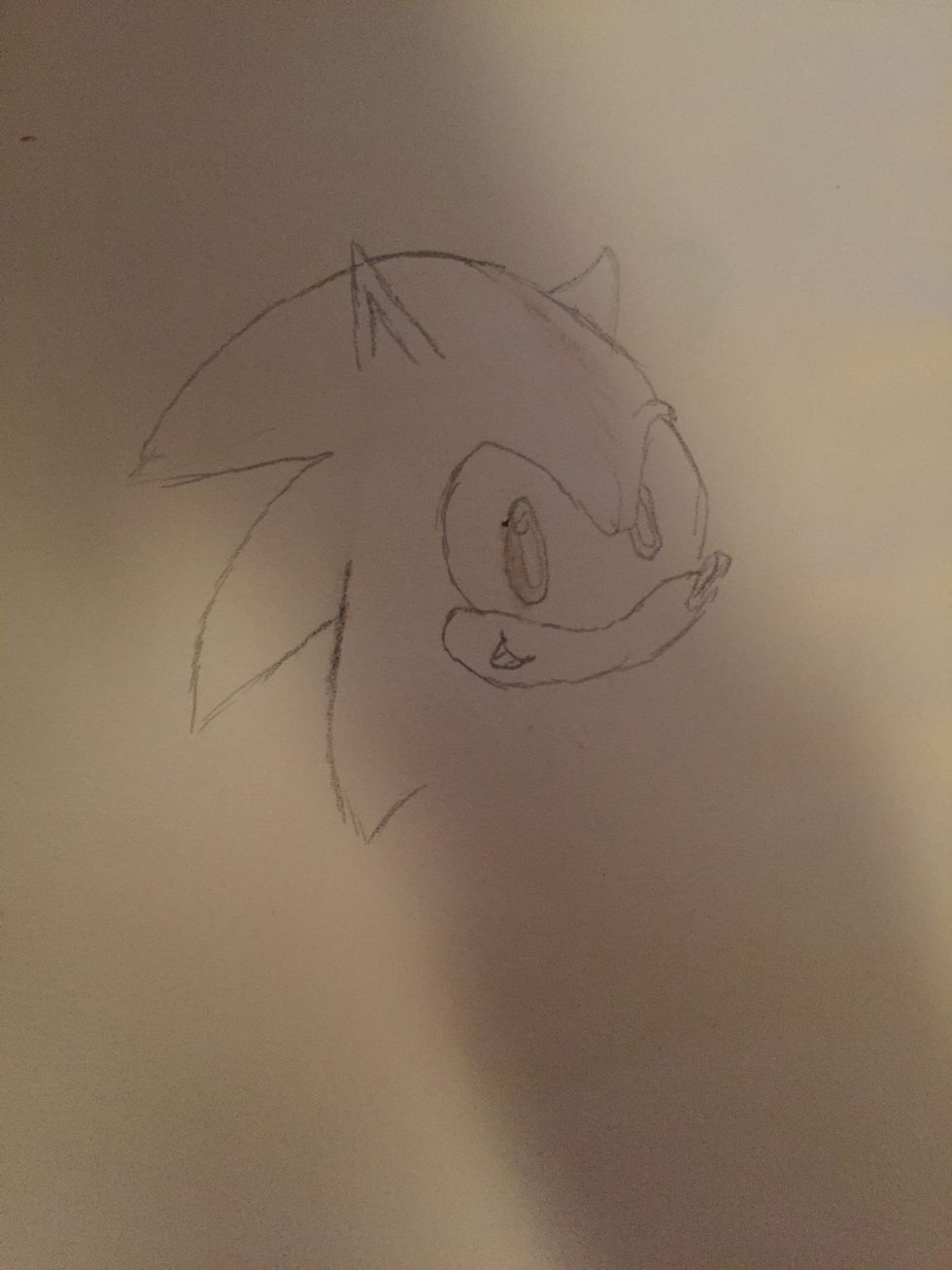 You are going to start drawing really lightly and draw the hair,ears, and eyes