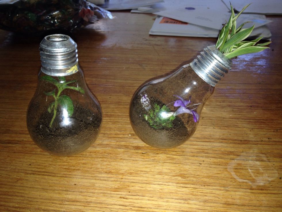 You are then finished! You can mix and match with colours and plants as much as you wish. you may also like to put tufts of grass on top to make it look nicer.