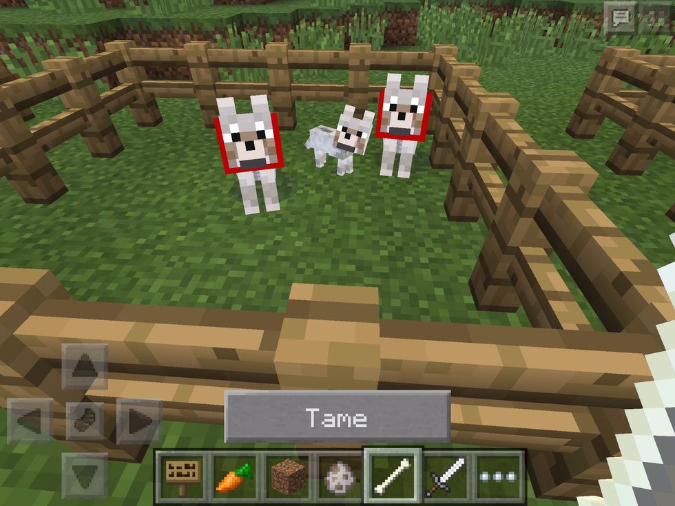 You can actually train wolves to follow you and help out against the angry mobs! All you need is some bones. Once trained, they will have a red collar!