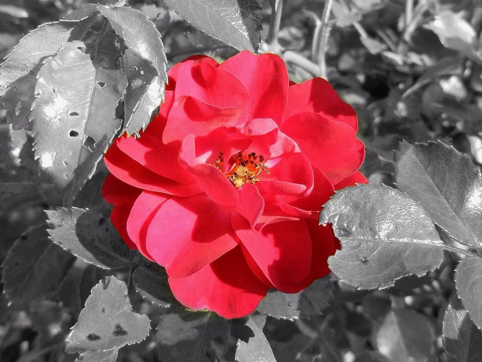 You can add cool effects if you want to! Like i said, really explore the Google+ editing tools!