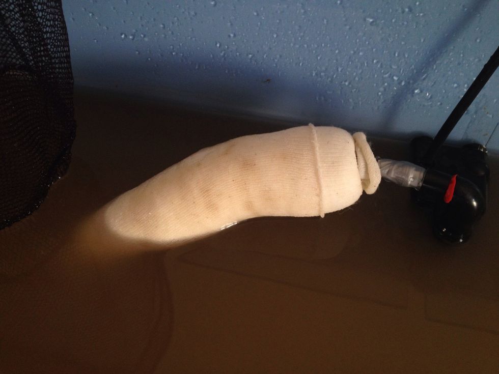 You can already see the silt build up inside the sock