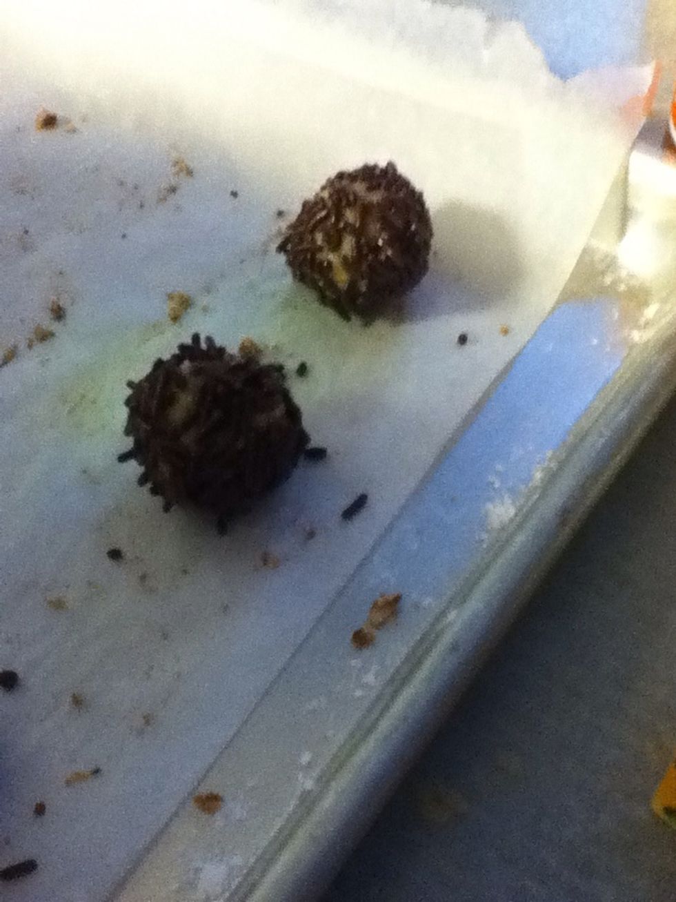 You can also roll them in chocolate jimmies. They rustle my jimmies.