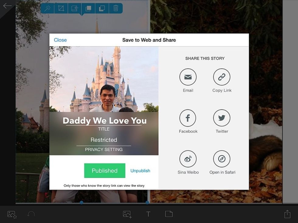 You can also share the book publicly on social networks or privately via email to family and friends. Please feel free to ask questions via comments - we will clarify with additional steps as needed.