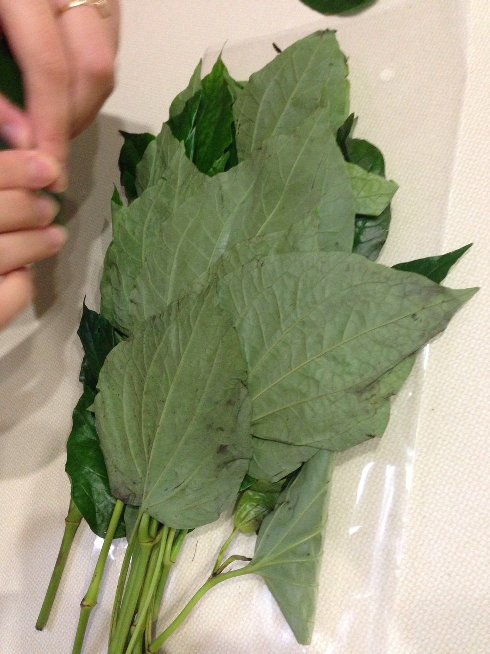 You can buy betel leafs at your local Asian or Vietnamese grocery store. They can be hard to find. Also known as "la lot" in Vietnamese.