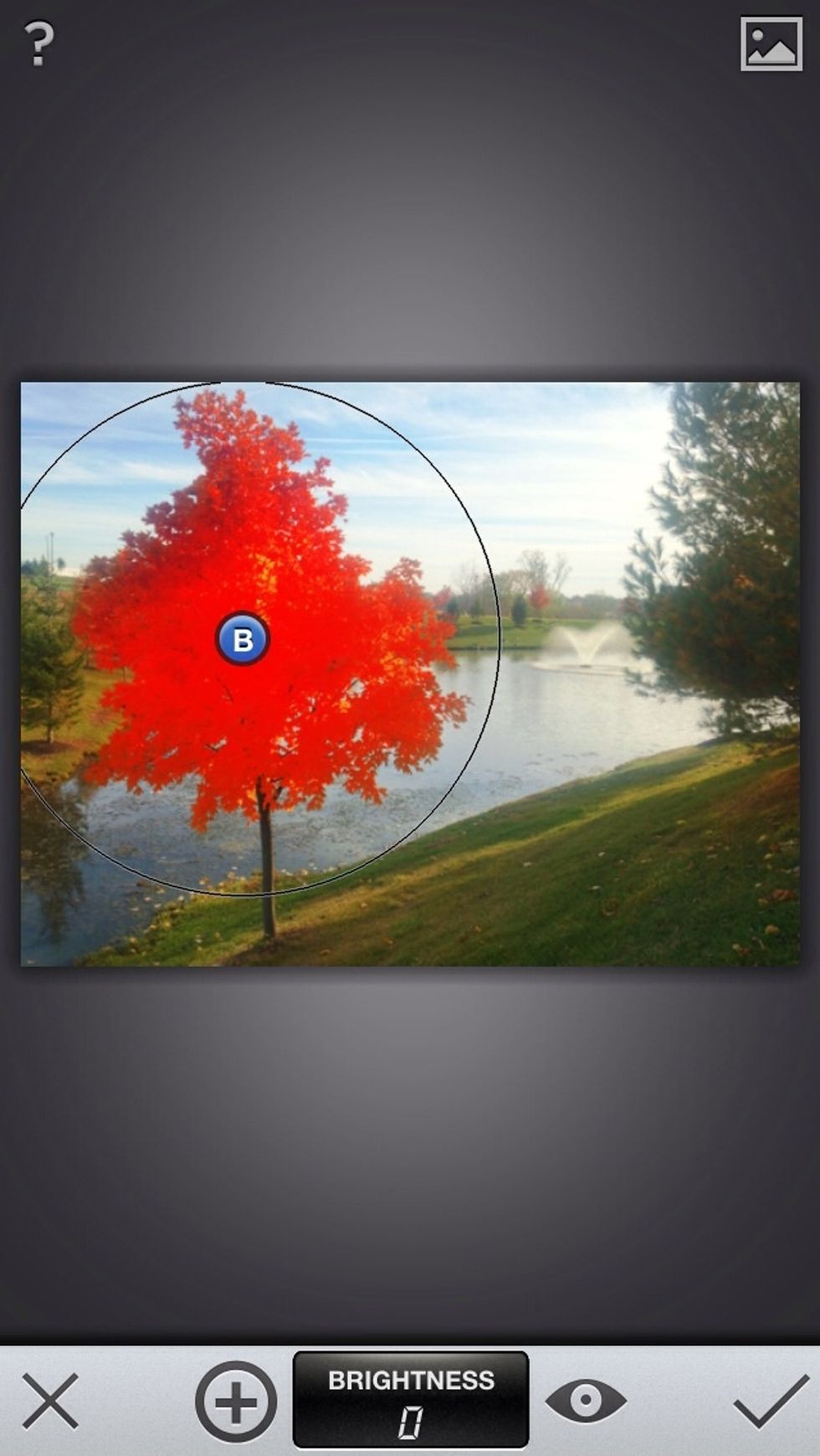 You can control how big of an area each dot effects. The area highlighted red shows what parts of the image will be effected by any changes that you make. In this case, only the tree will be effected