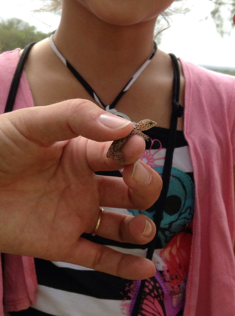 You can find amazing creatures at the OLC.