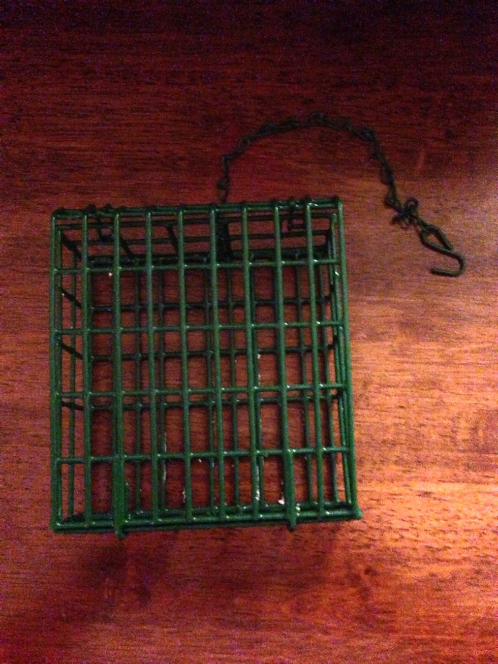 You can find suet cages in the bird seed isle at most stores.