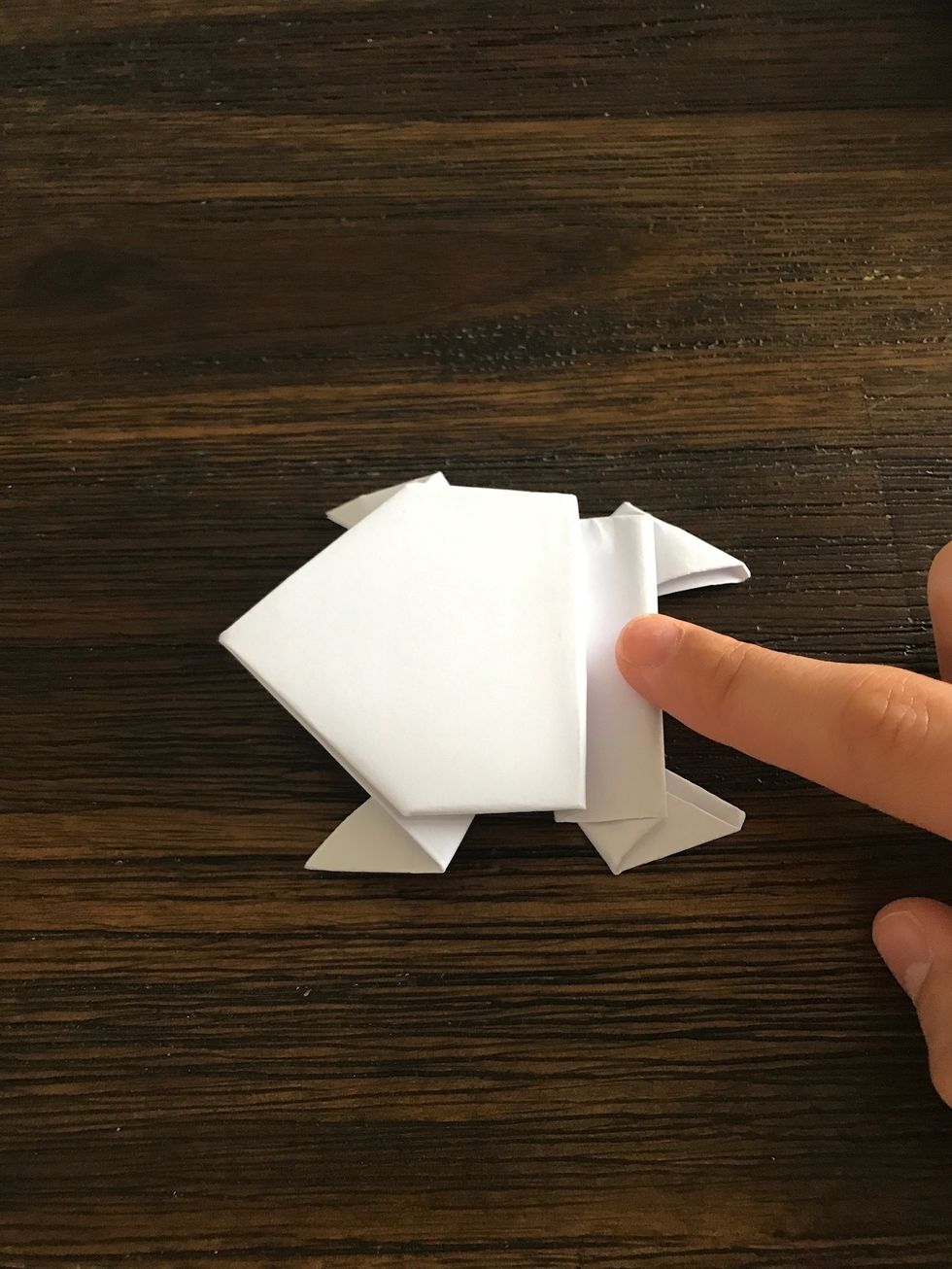 You can lightly press down on the back of your frog to make it jump!