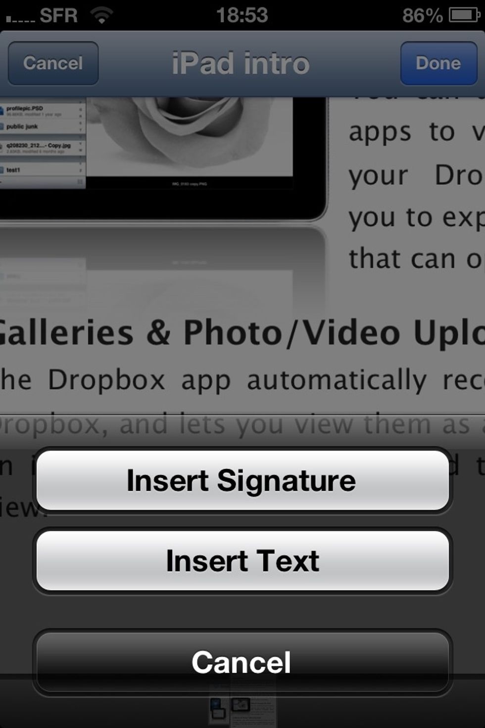 You can now either insert text or insert signature, select the second