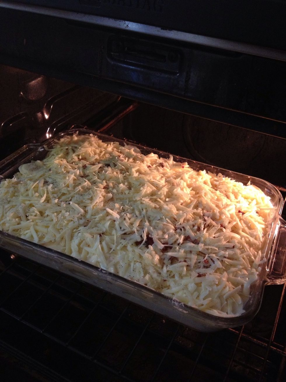 You can repeat this in three layers, which is what I did. Then I poured the rest of my half in half over the top and then more grated cheese.