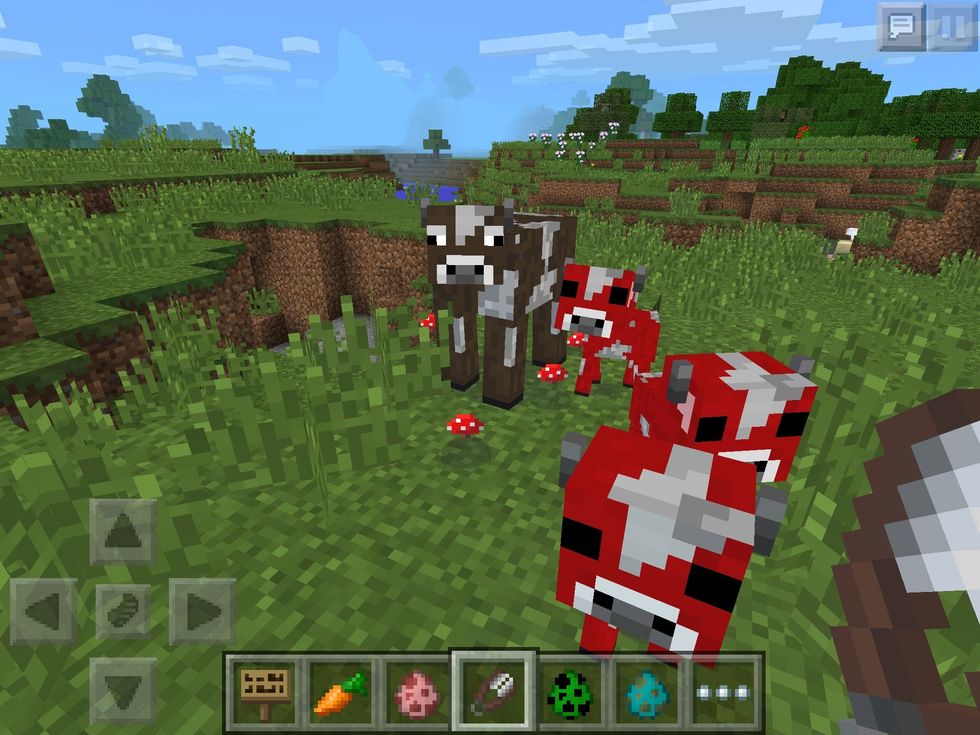You can shave mooshrooms to drop mushrooms, but once done, they turn back into normal cows. However, you can breed them with wheat so plenty of mushrooms to be had!