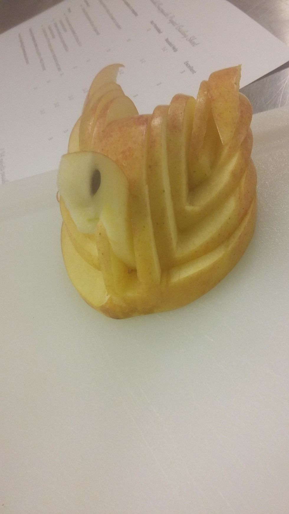 You can sick the seeds on the side of its head for the eyes, and now set the head in the rectangle, your masterpiece should look like this!