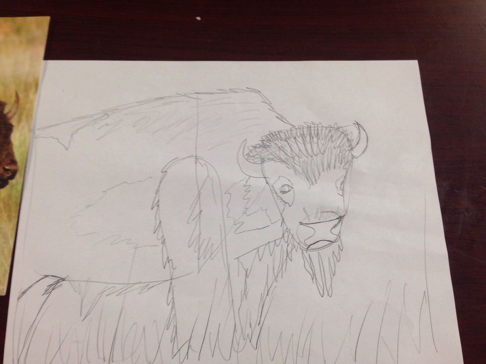 You can still see my original shape lines. I will erase them as I continue to shade and add texture.