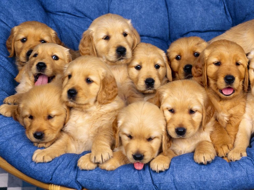 You can take the easy way out or you can make your own screen saver that you and your friends will LOVE.