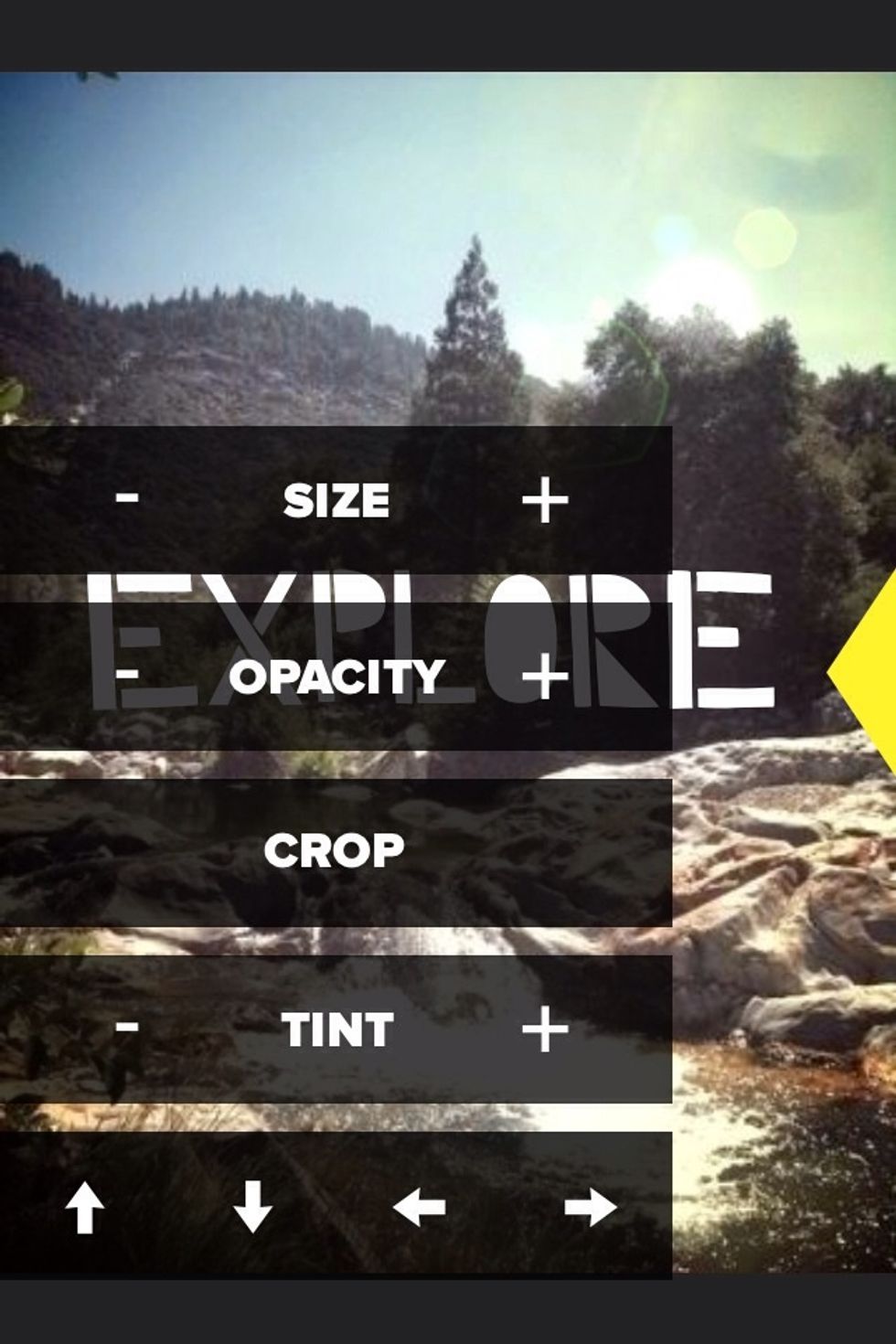 You can then adjust the size, opacity, crop or tint your image.