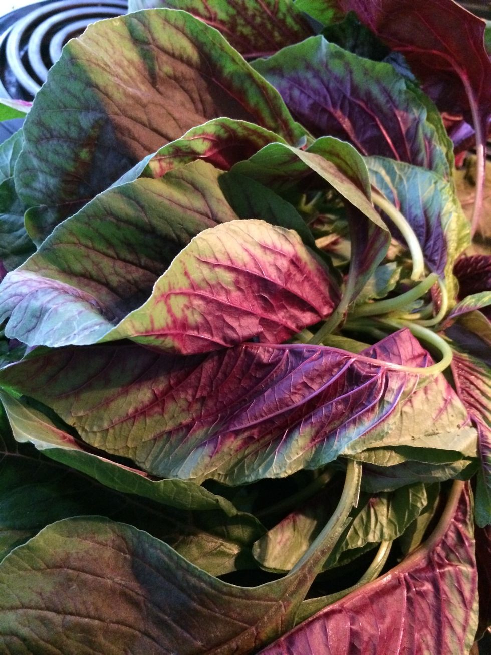 You can wash it prior to storing but I chose to store it unwashed.