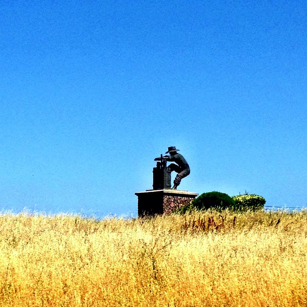 You don't have to be a drinker to enjoy wine country. One of my friends doesn't drink but she still had a fantastic time with all the food, art and live music.