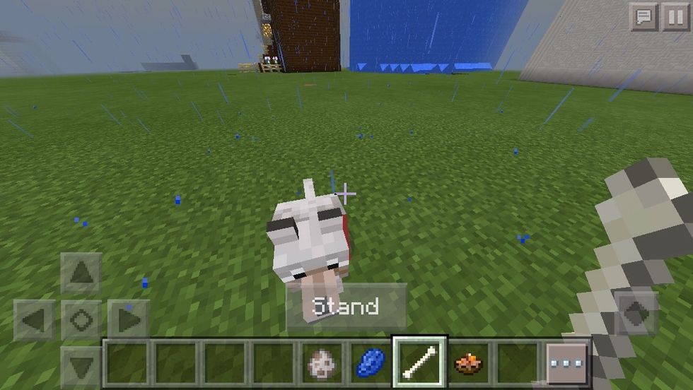 You go to a wolf and hold down on it with a bone in your hand.