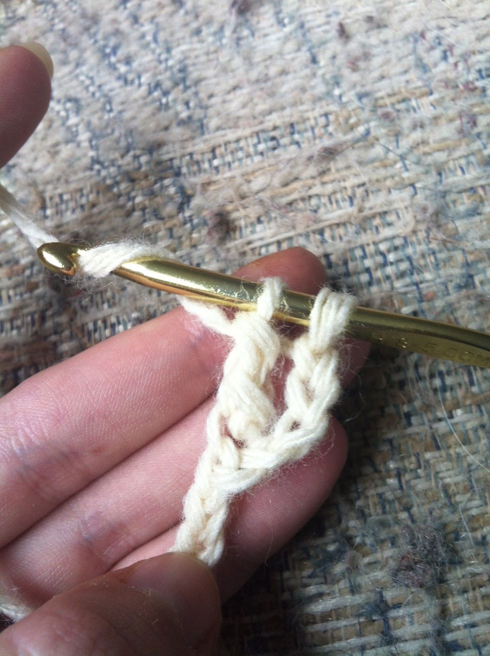 you have 2 loops left. yarn around and pull trough your last 2 loops.