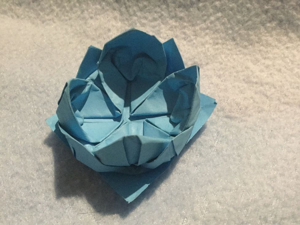 You have created an origami lotus flower\ud83c\udf3a