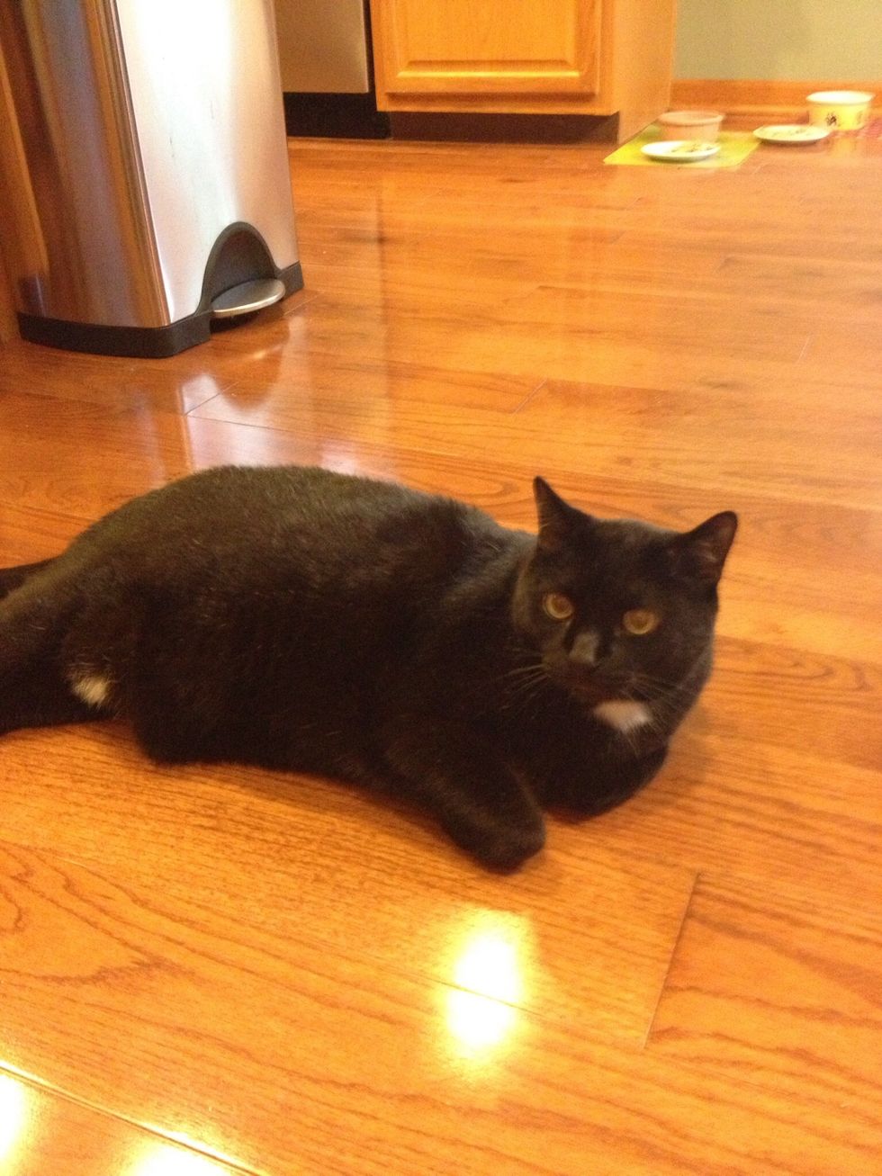 You have to be happy, but realize all good things have to end.