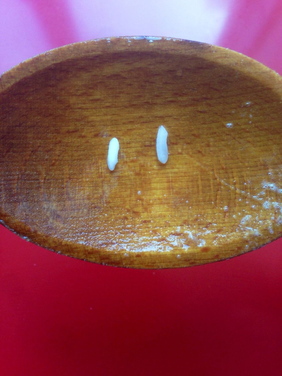 You'll know the rice is cooked when it looks like the grain on the right. If it's white in the center like the left grain, it's not cooked enough. The grain must look fully clear.