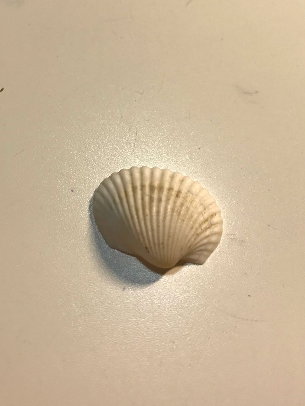 You'll need one shell.