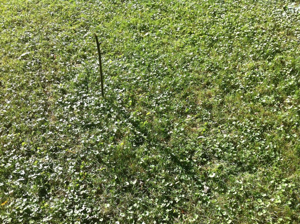 You'll need the flattest surface you can find. Dirt works best but if you have to do it over grass. Just find the flattest spot you can find.