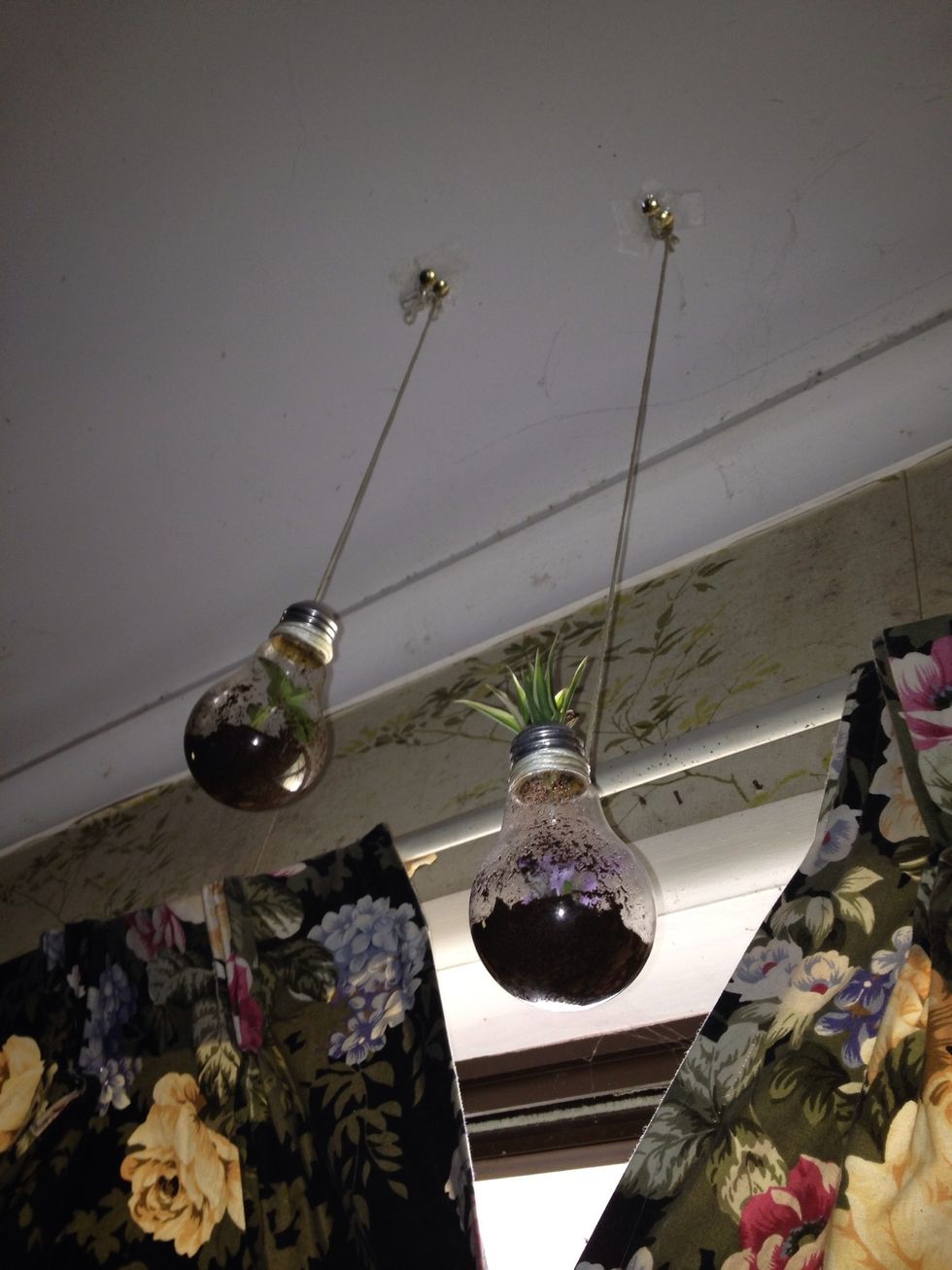 you may also like to hang them up on the ceiling or beside the window.