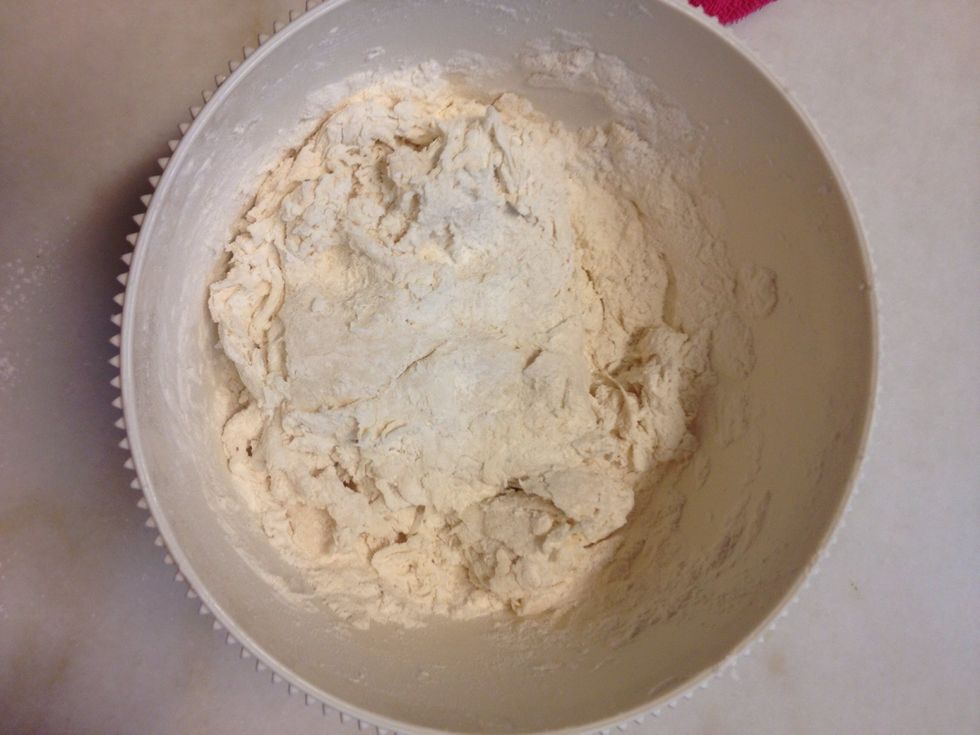 You may need to add more water depending on the dough. You want a moist and firm dough after you have mixed it.