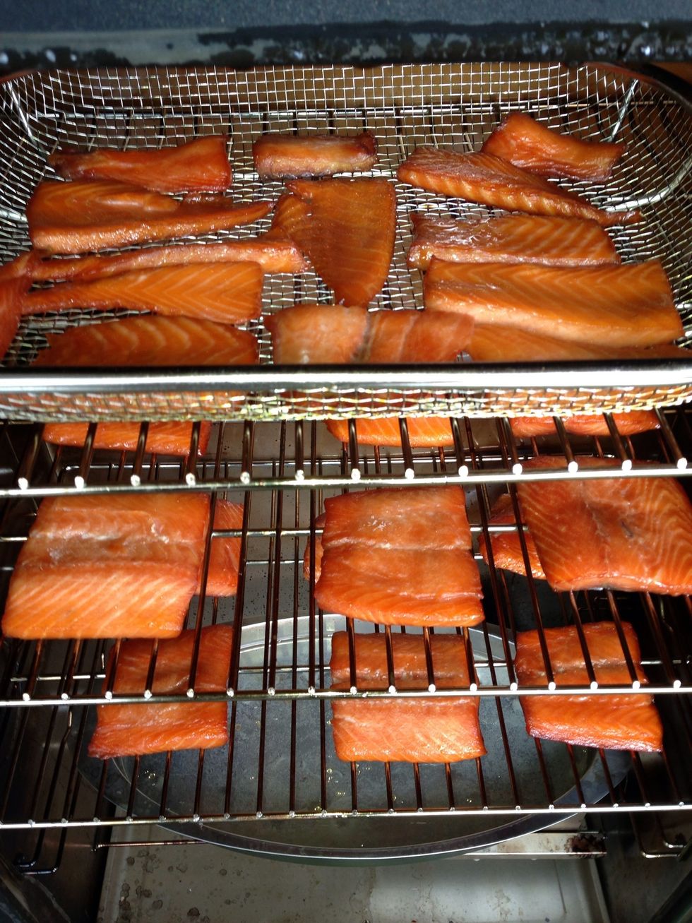 You may want to pat down the salmon once or twice during the smoking as a white film or liquid can form on the tops. This is the finished product. The small pieces are dryer, closer to jerky