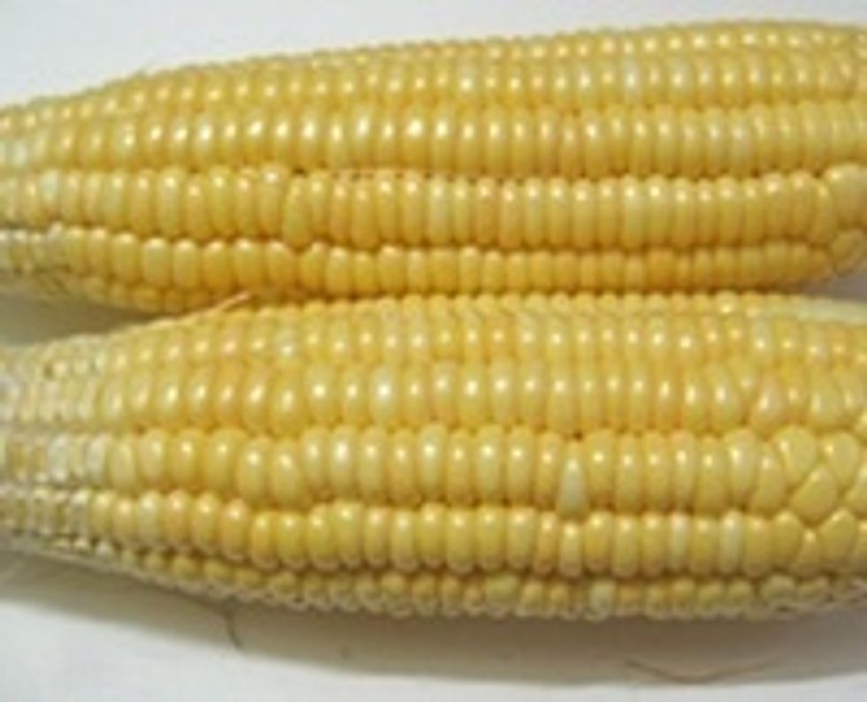 You must use fresh sweetened corn to make this \ud83d\ude09