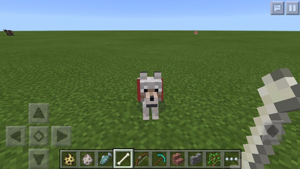 You now have a loyal dog! It will attack almost any mob alongside you- except for creepers, in which case it will run for its life. Pretty sensible...