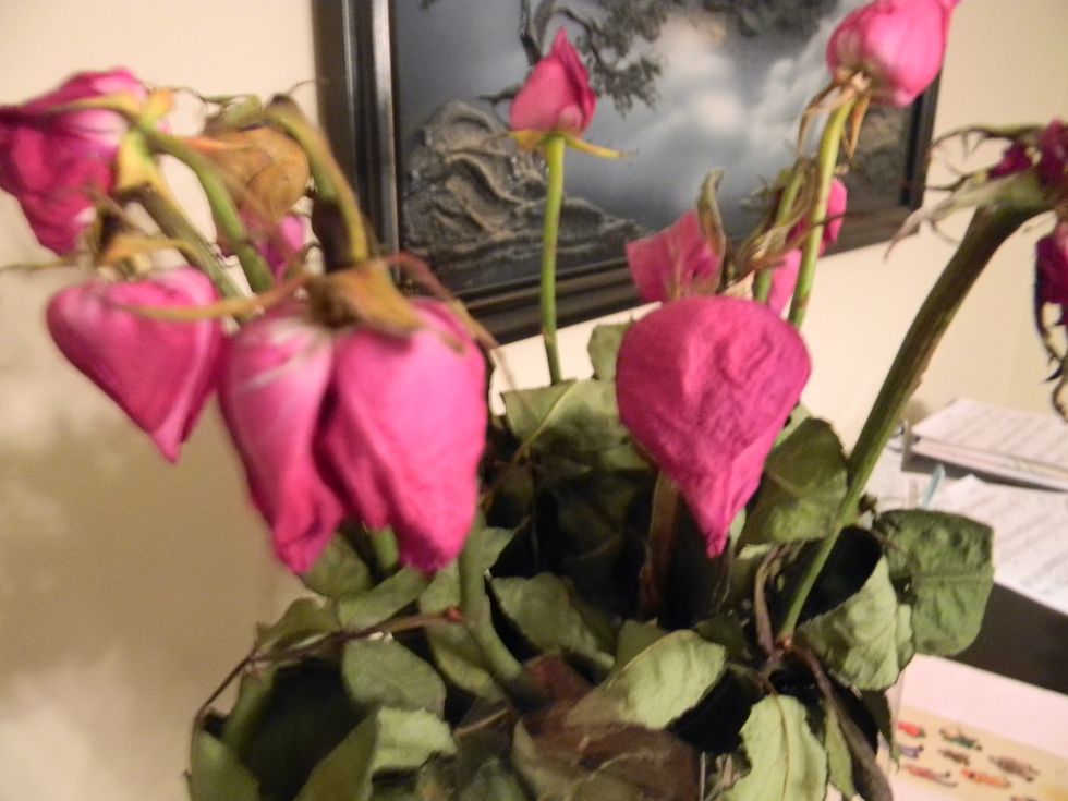 You received or bought this beautiful bouquet of roses and now, only one week later, they are all casting their heads downward.