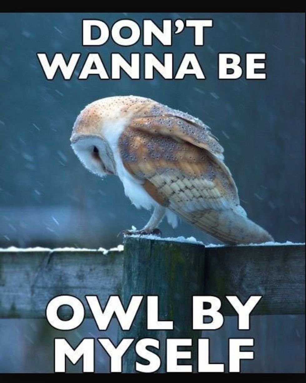 You sang this, didnt you! Lol \ud83d\udc9c the song
