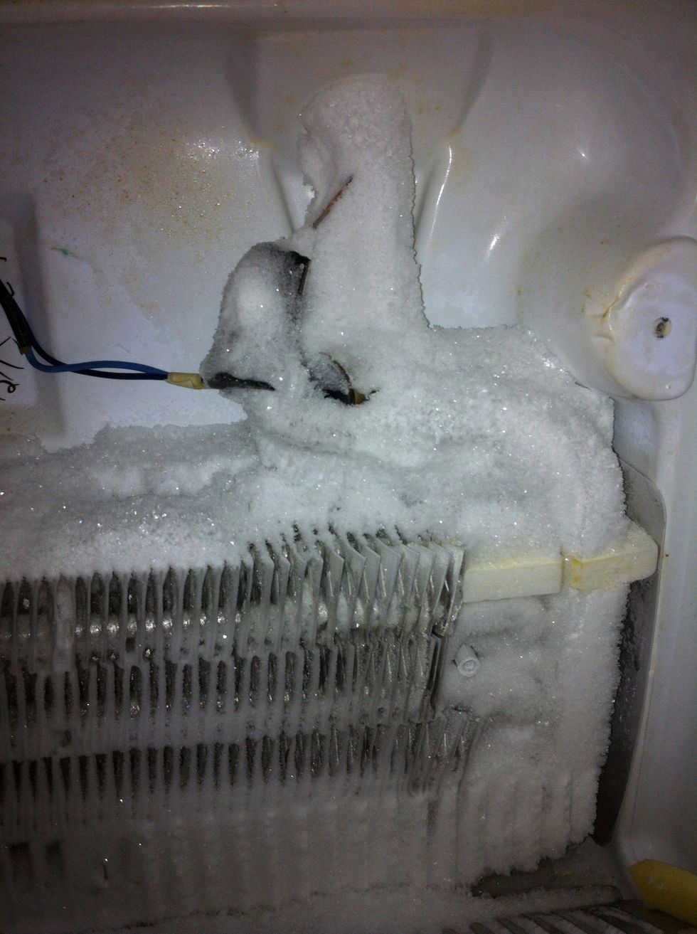 You see the wires but not that thermostat because it failed is why the ice built up until blocking air into reefer compartment.
