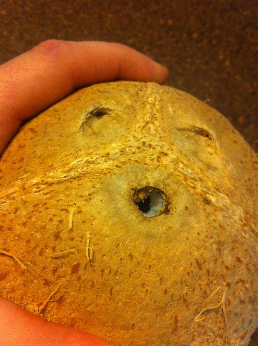 You should be able to see all the way through the shell and flesh.